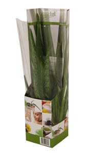 homemeetsnature - Kamerplanten kopen